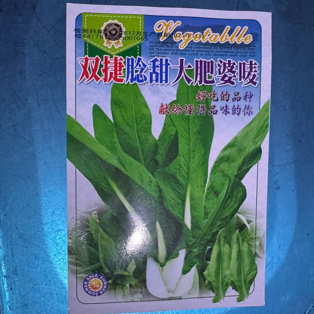 双捷腍甜花芽唛菜种子