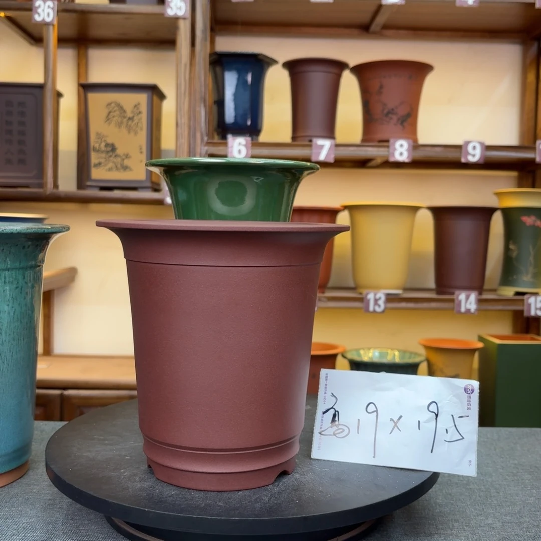 紫砂花盆兰花422584255523555