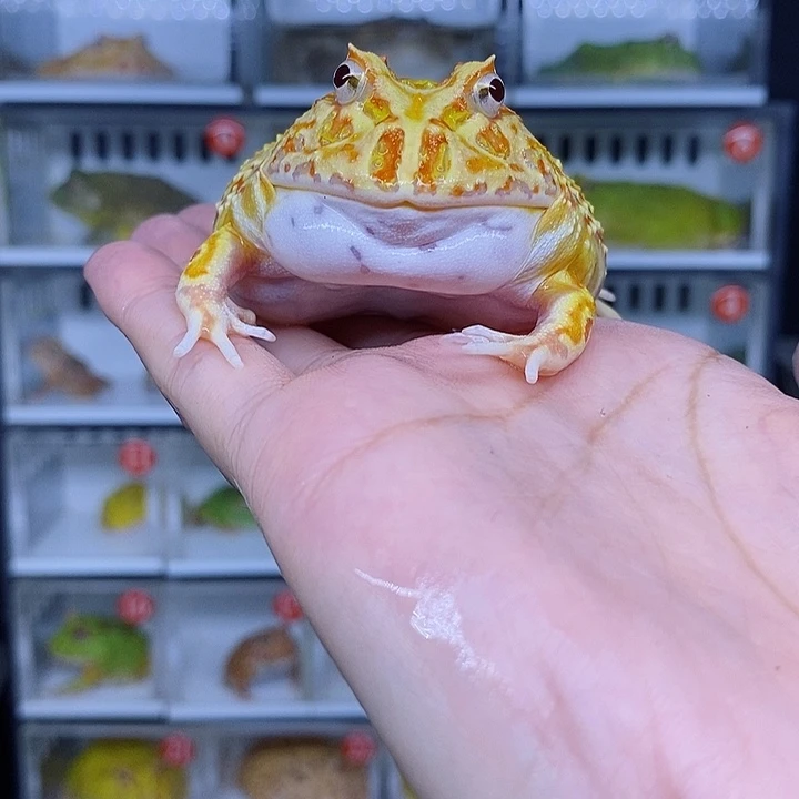 特价秒杀现货特价