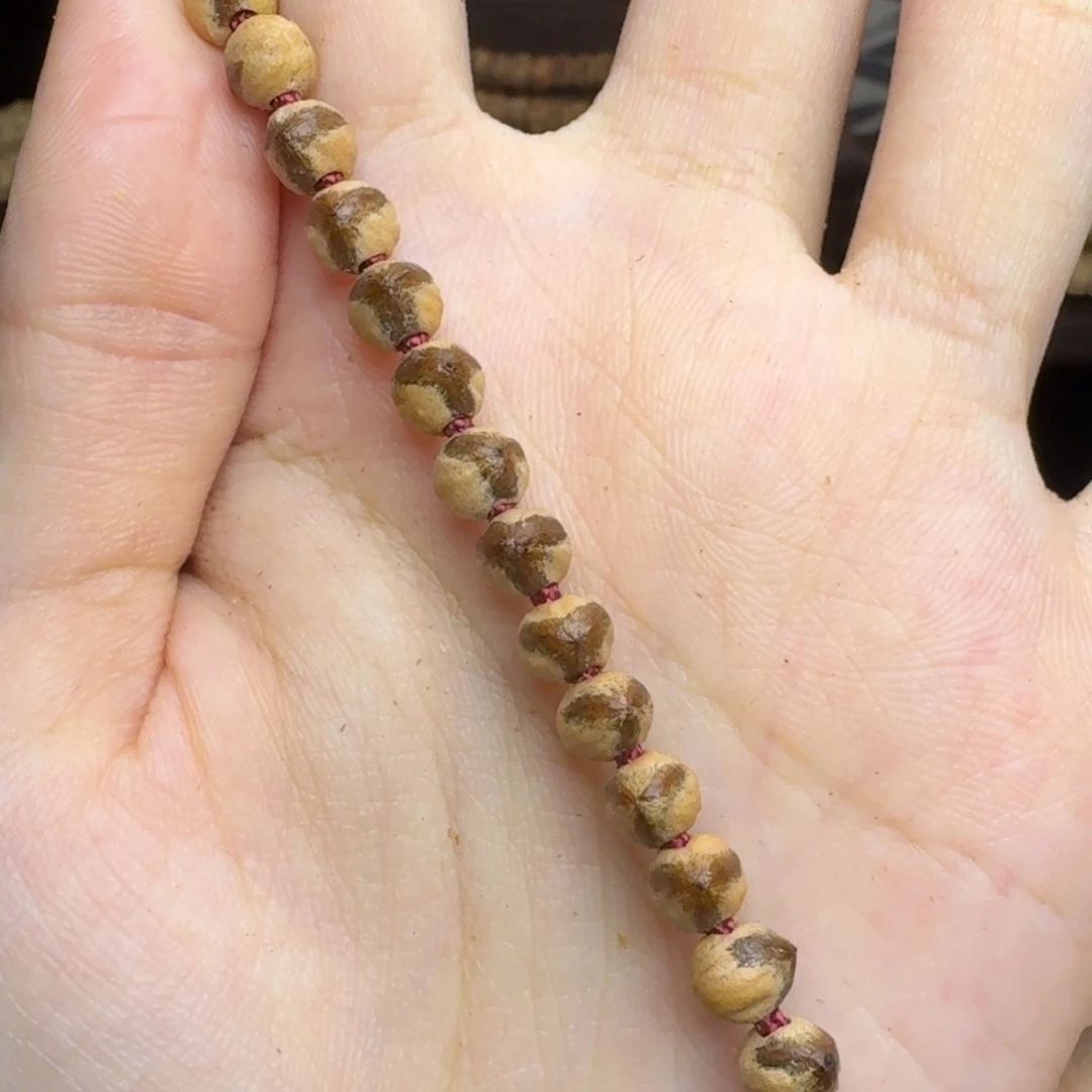 手串柏香籽/百香籽三棱大奔驰