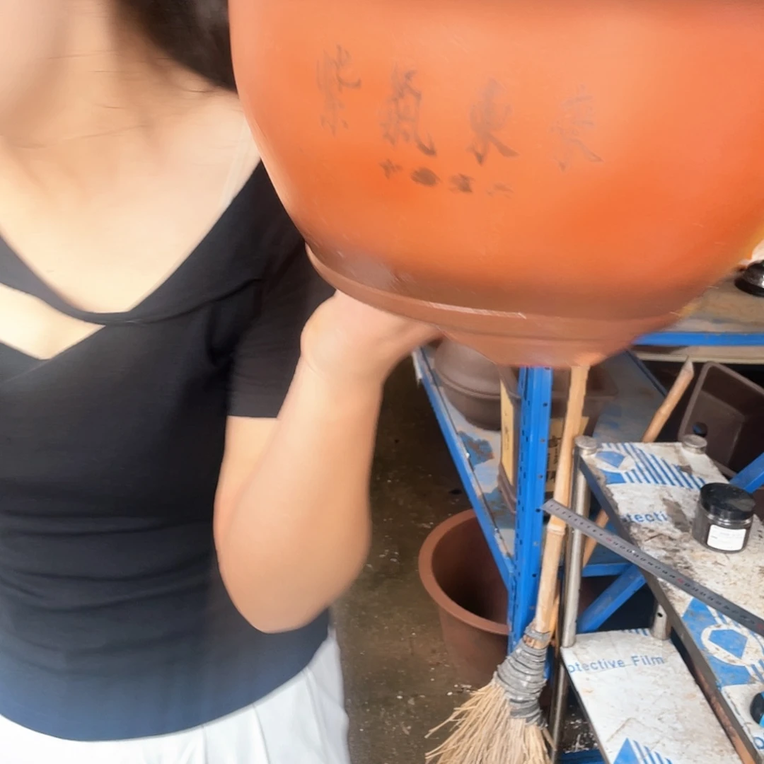 30紫气东来花盆紫砂花盆紫砂