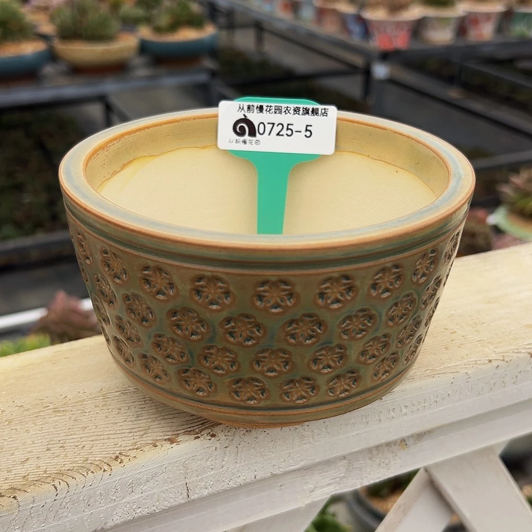 多肉一物一拍0725-5