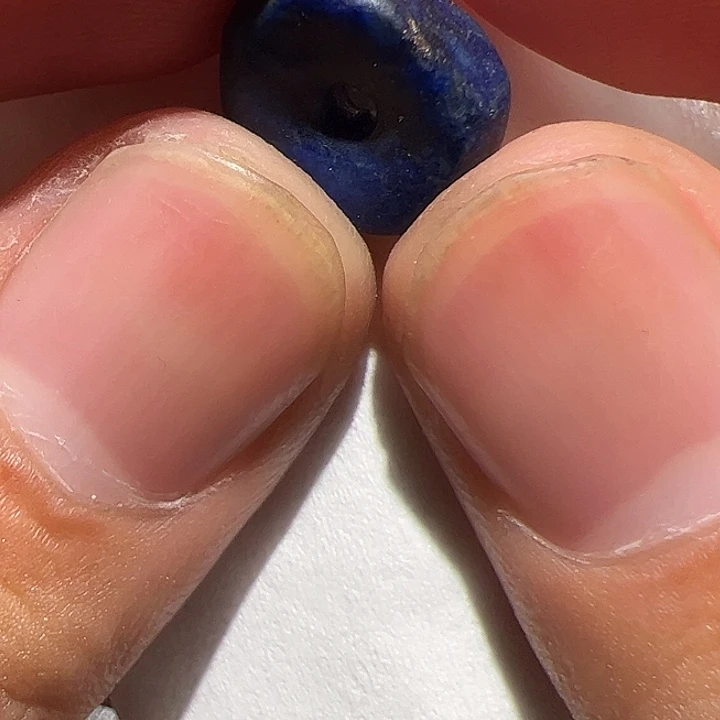 香榧木在这里的时候