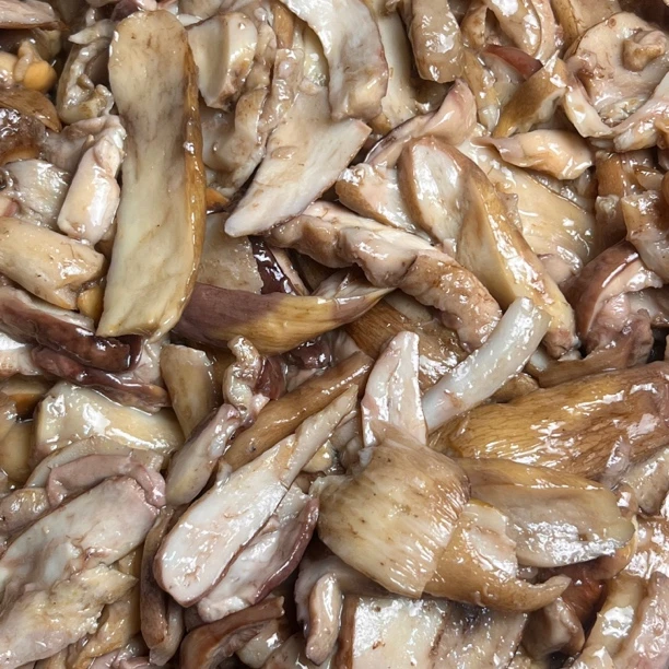 新鲜野生美味牛肝菌松树菌去泥洗净过油发货顺丰包邮