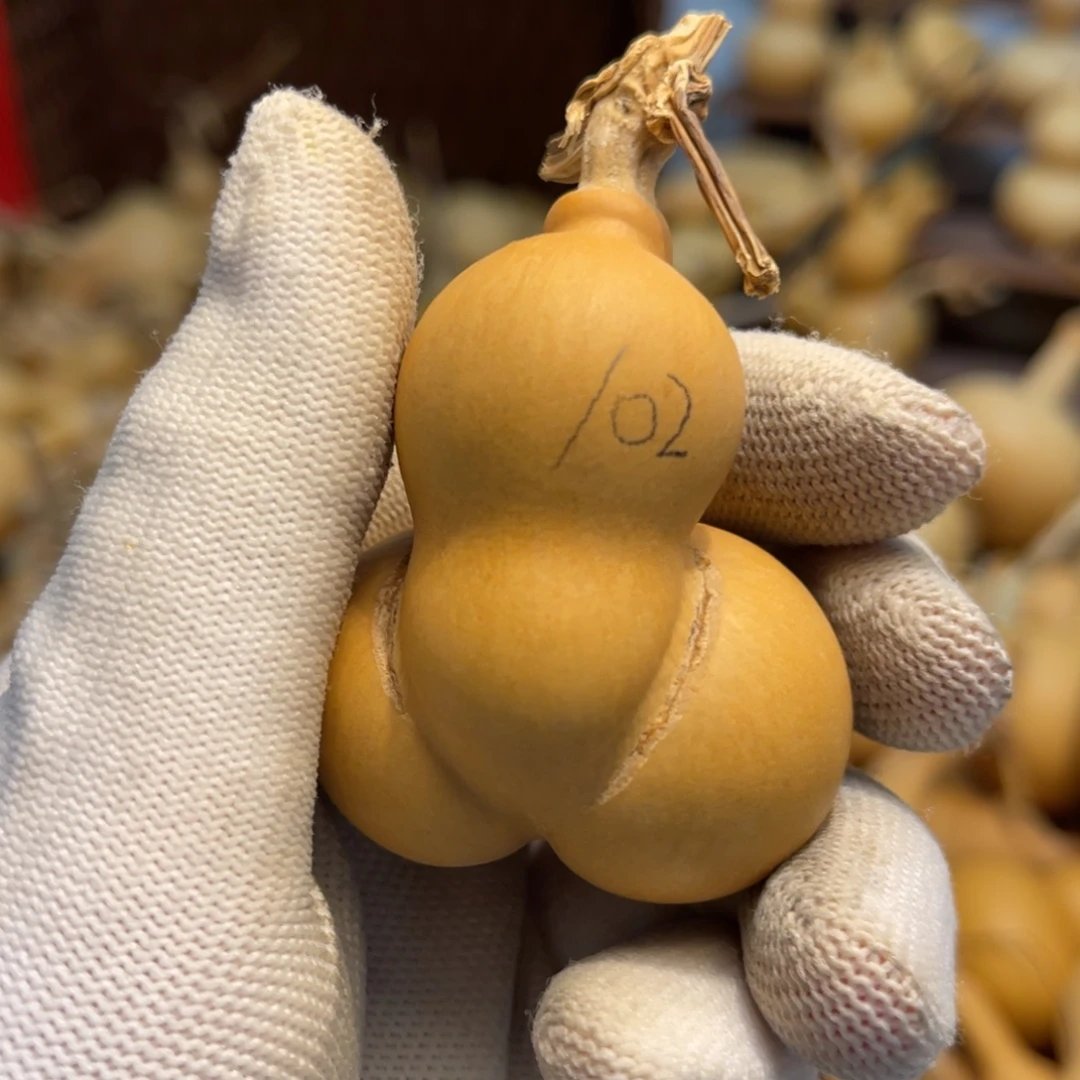 闪拍葫芦链接-102号品