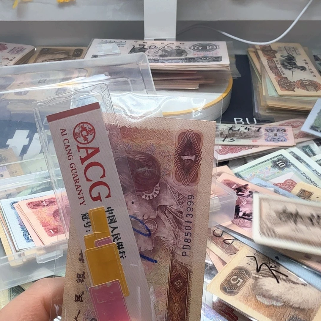 风***吗801金龙王尾号999