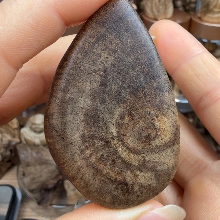 沉香沉香碎屑文莱随行6.7克