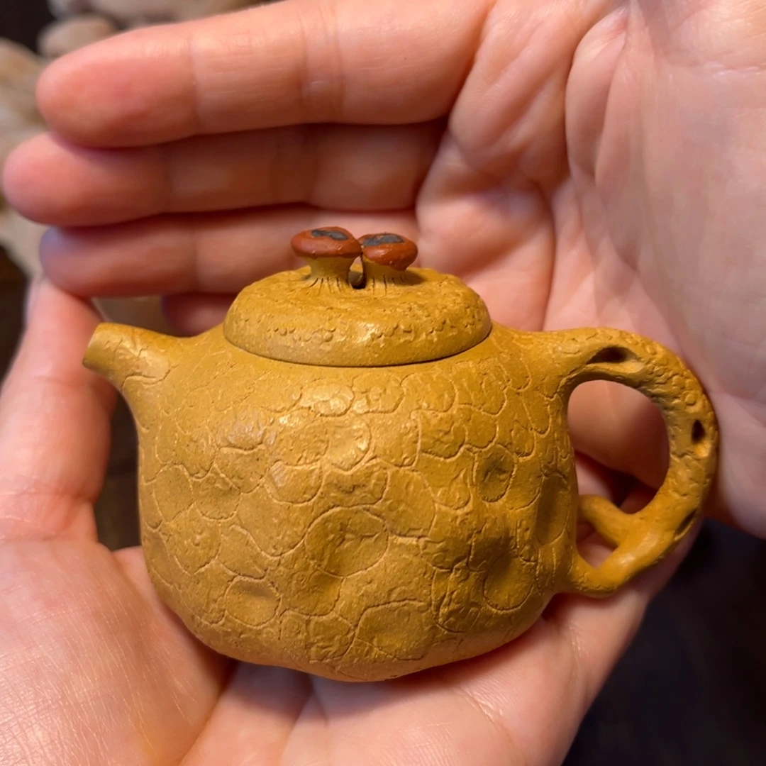 紫砂茶壶宜兴紫砂