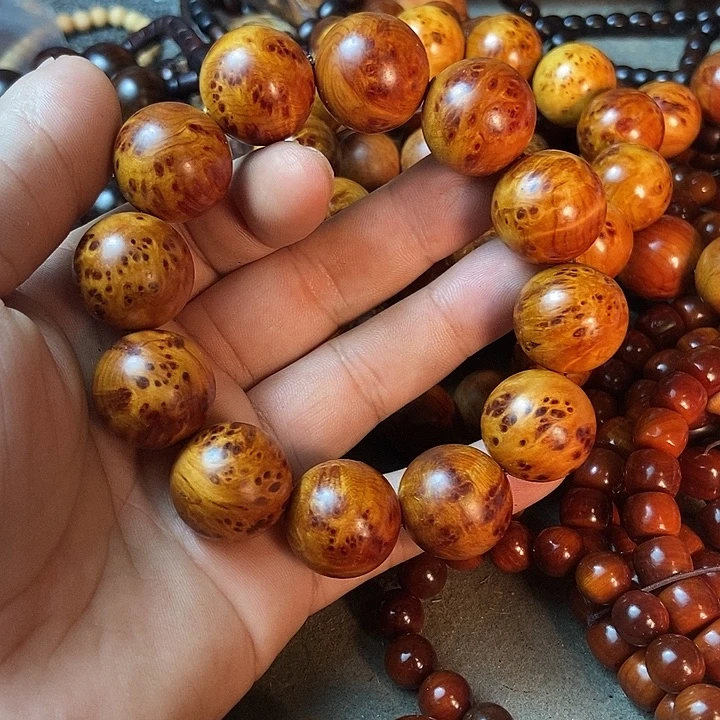 柏木（崖柏）无事牌太行崖柏树等树木生长茂盛和自然条件