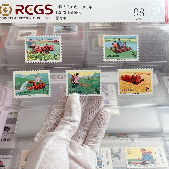 T13套票评级98封装