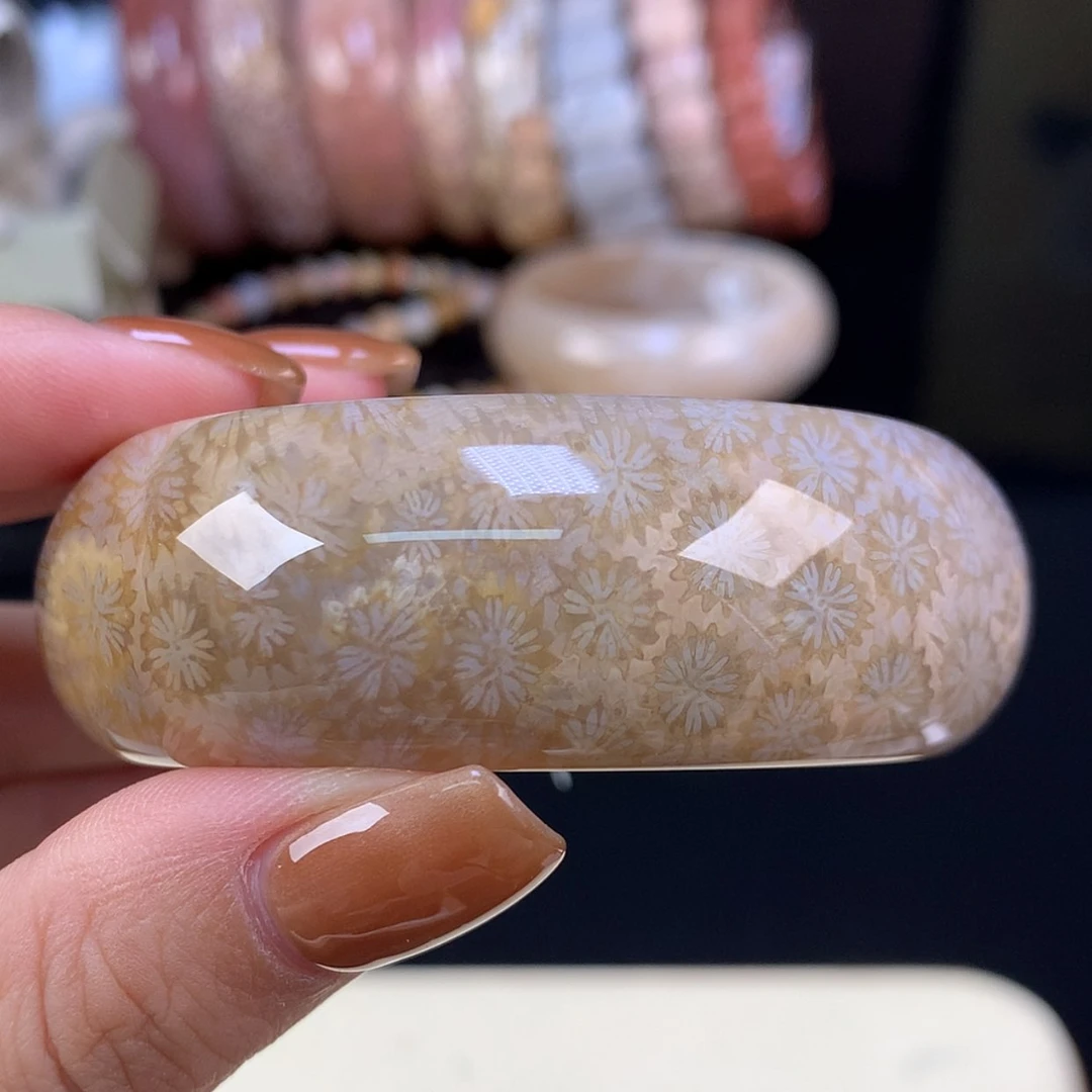 【闪购商品】颈饰未镶嵌硅化珊瑚（珊瑚玉）上新手镯51（5号）