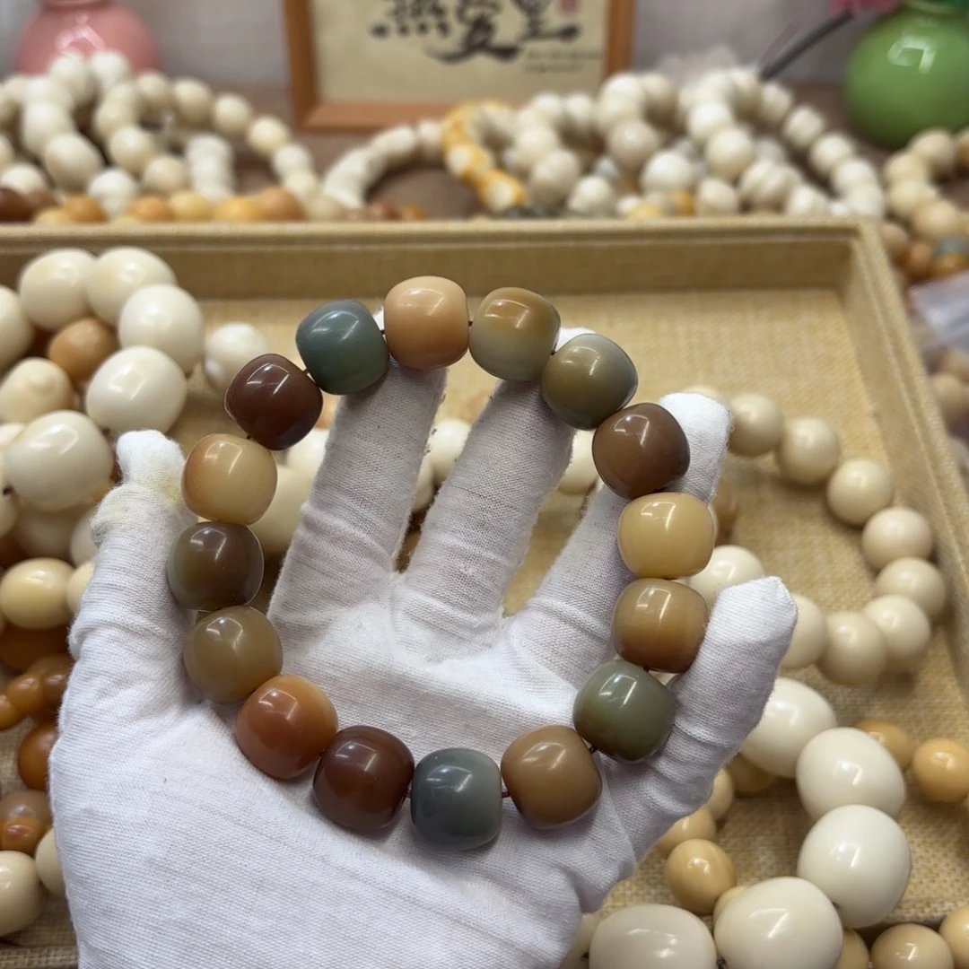 菩提根/象牙果吊坠17干磨瑕疵落地果098