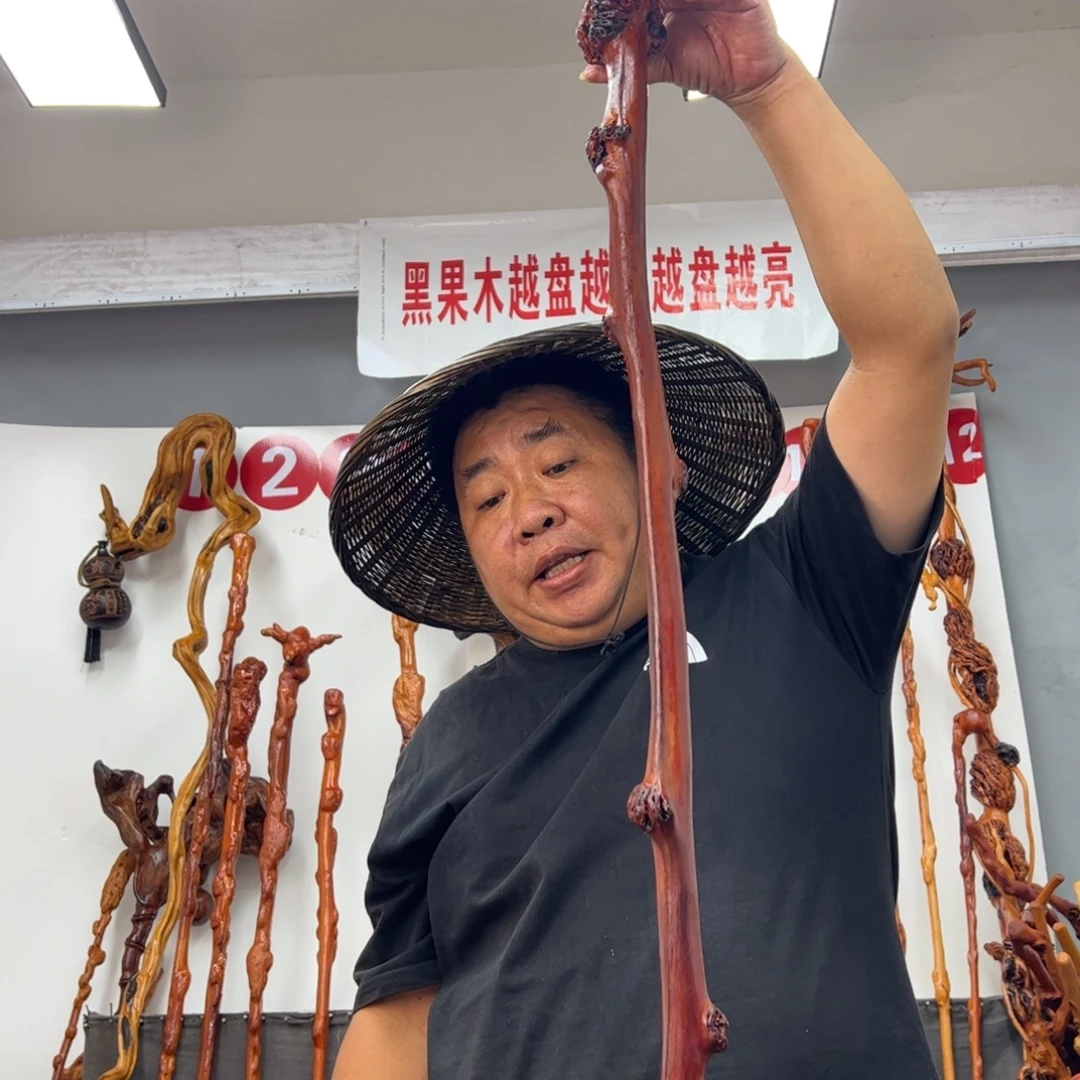 *****黑果木其他黑果木556