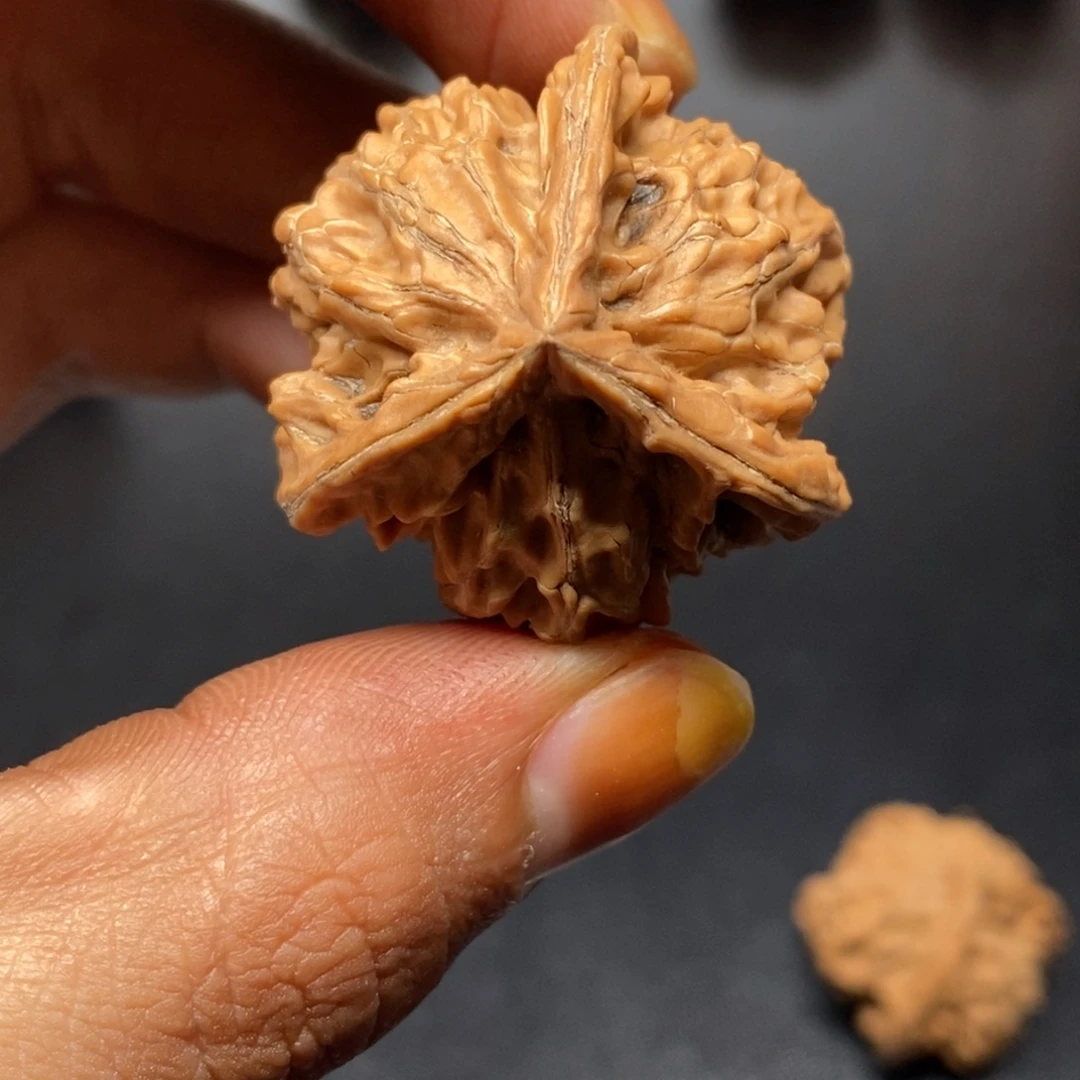 b***x龙脊菩提吊坠哈哈哈哈哈哈哈哈哈哈哈