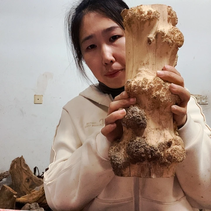 春***艺手串/手链橄榄核太行山区农民