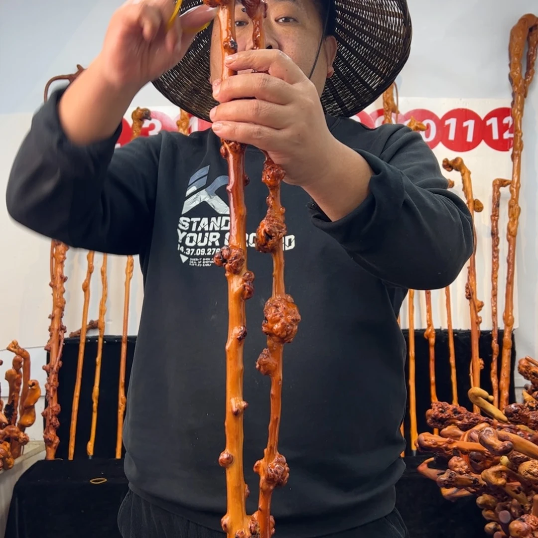 黑果木其他黑果木602