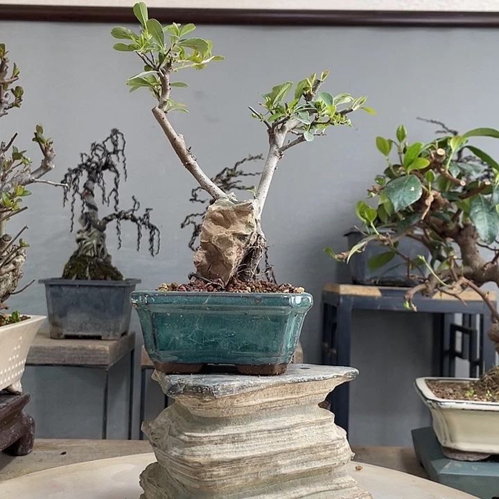 以实际为准以实际为准