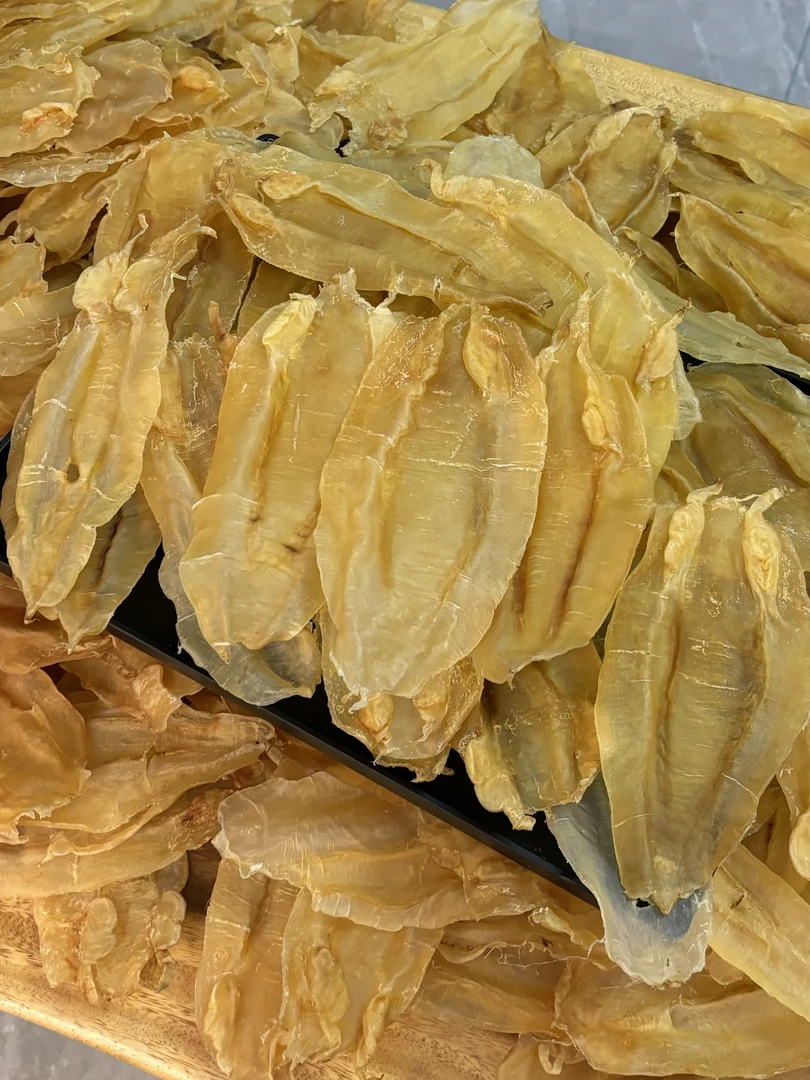 广东鱼胶  北海公1-500g 鱼胶花胶