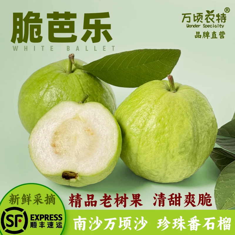 【顺丰】南沙番石榴白心芭乐脆口低糖清甜健康有益新鲜现摘当季水果