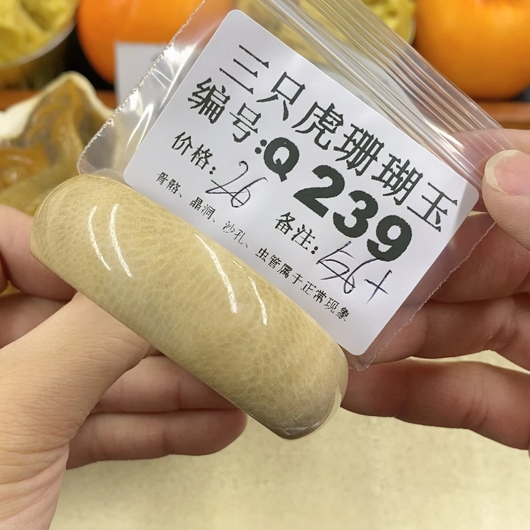 硅化珊瑚（珊瑚玉）1未镶嵌用****舞