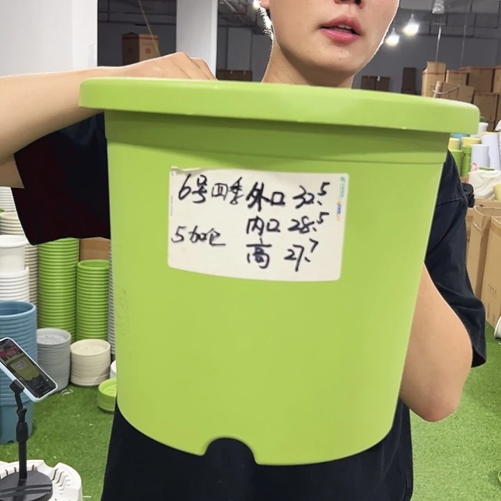 特价6号口32高27.7果绿色7只无托