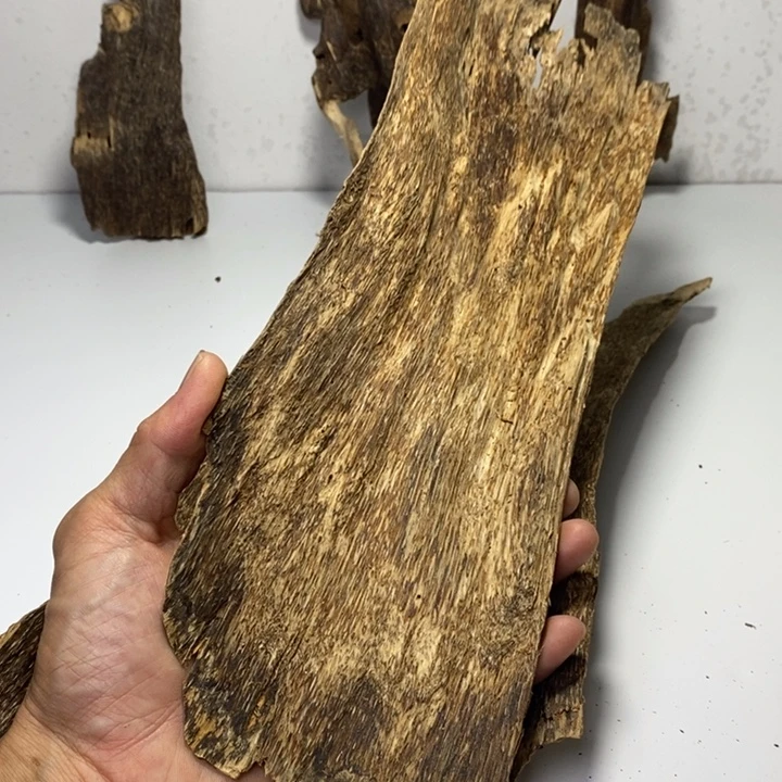经典国香皮油甜凉感足83克