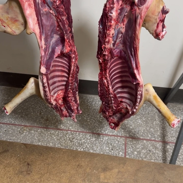 7天中国大陆鲜肉直播间（一物一拍，截图为准）