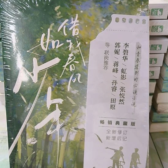 借我春风如少年 默认微瑕正版图书。