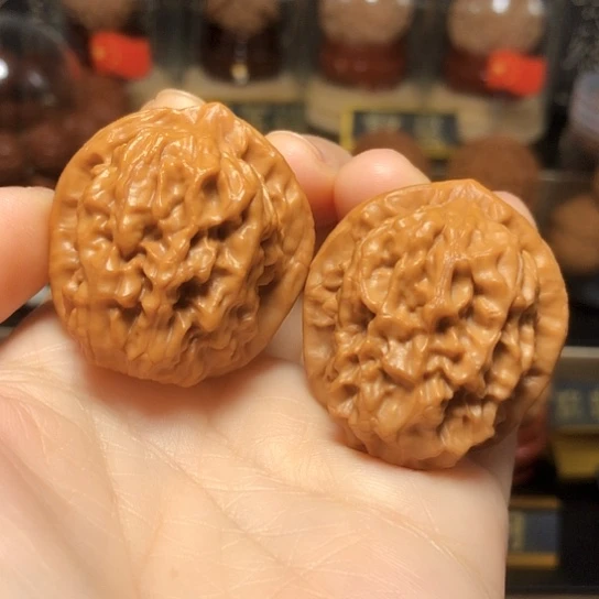 精品野生：油蜡皮核欢