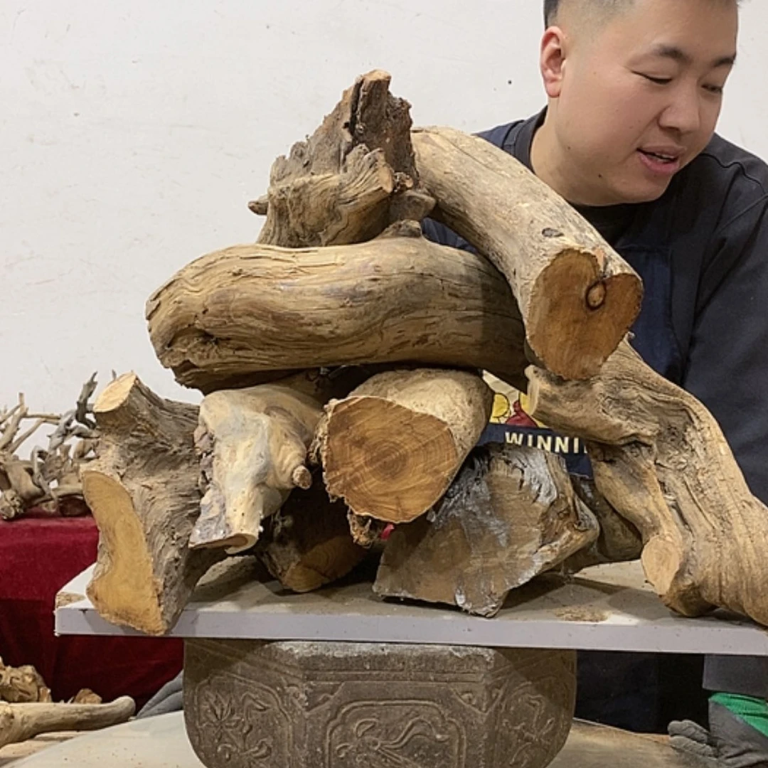 【闪购商品】柏木凭**雨我们都是好孩子