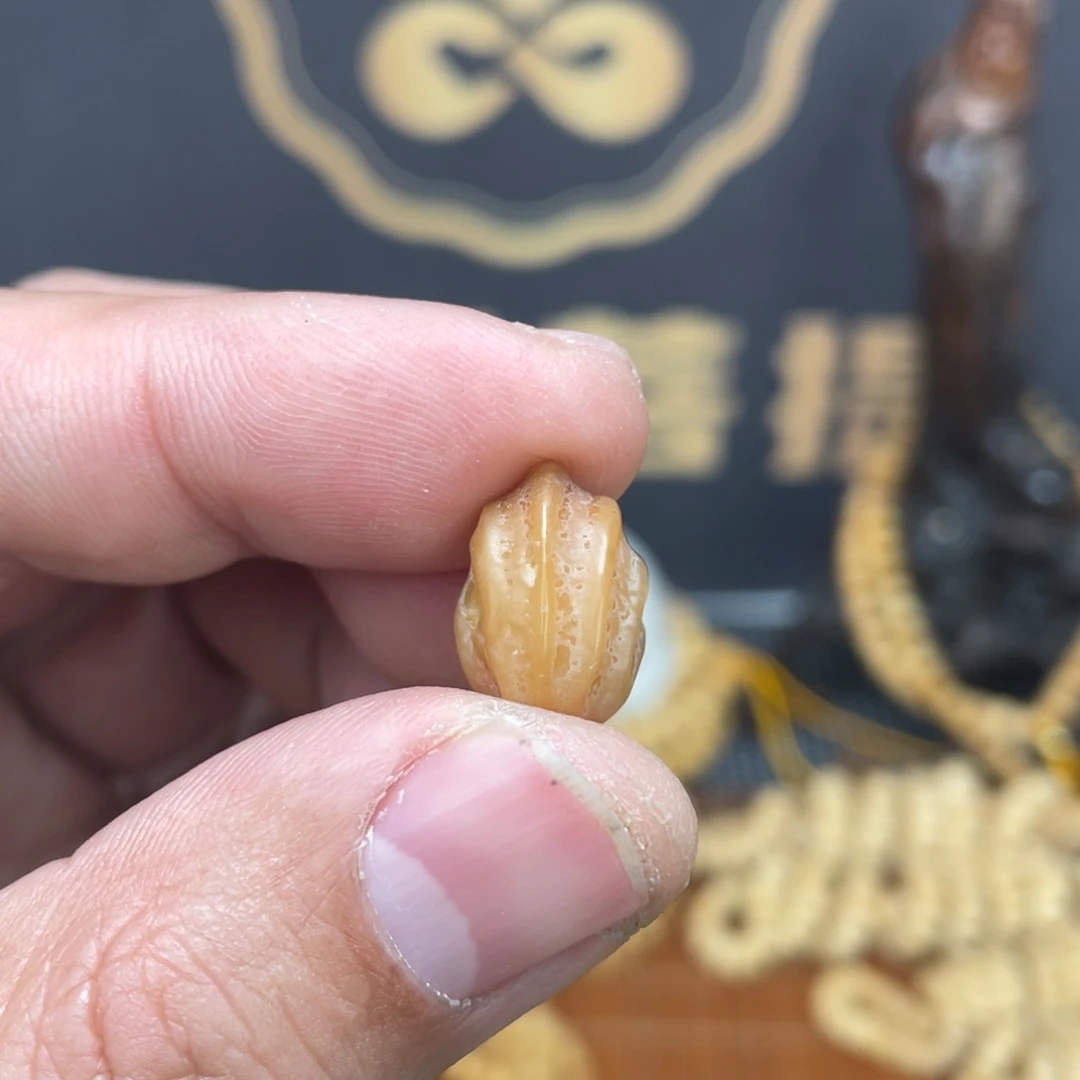 龙眼菩提吊坠P***5龙脊菩提原籽三通