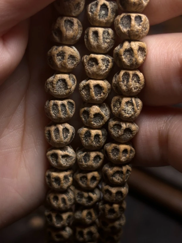 热振柏香籽「魔瞳」对眼深坑毕业级尸坨林