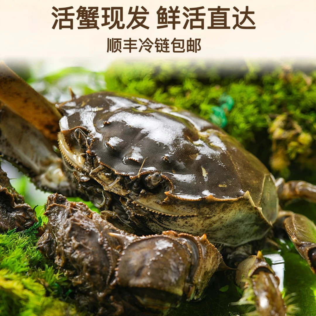 【活蟹河蟹】 买20只送10只 螃蟹公母搭配1-1.3两 公20只母10只顺丰到手30只