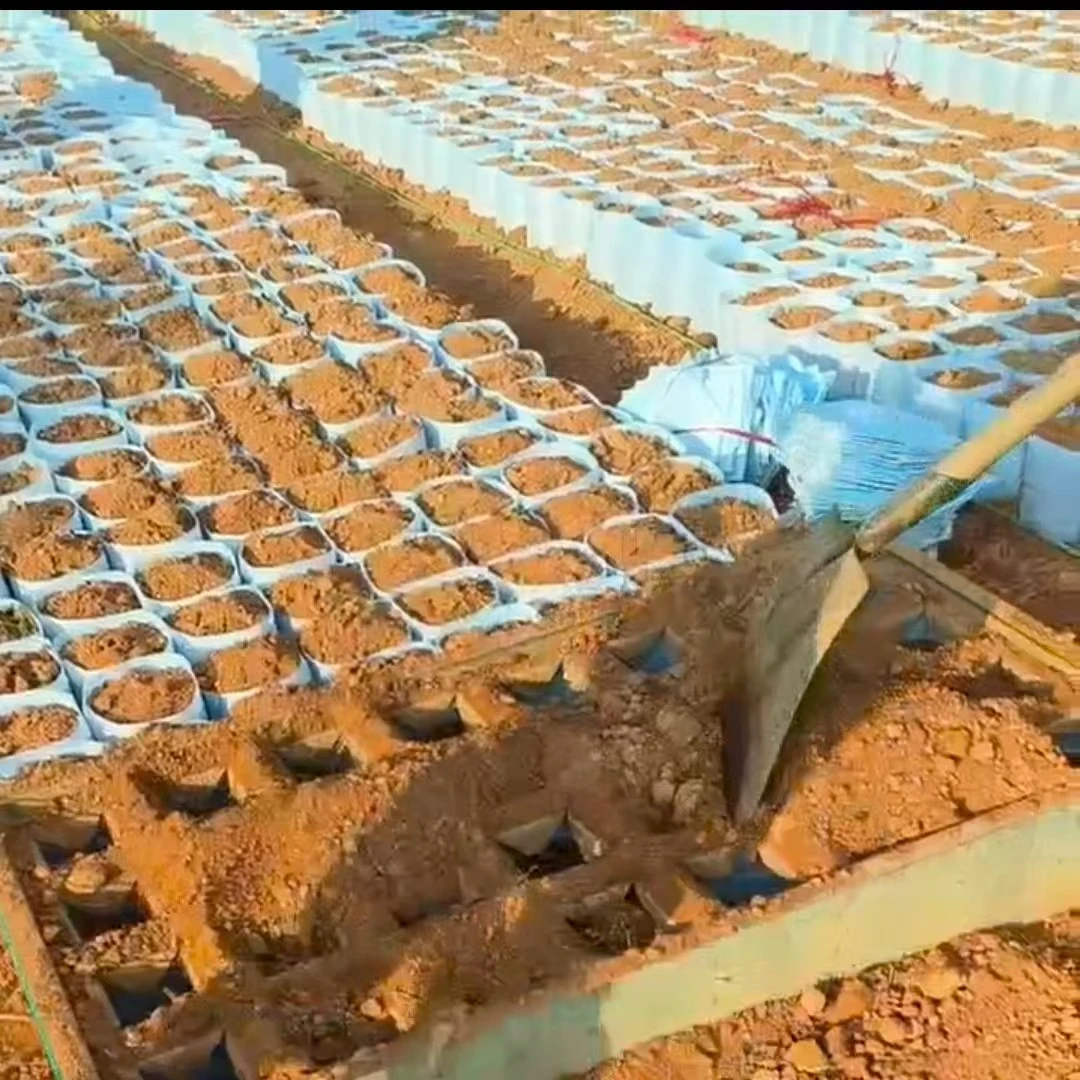 新款营养杯快速装土工具大号加厚链接无仿布袋装袋器