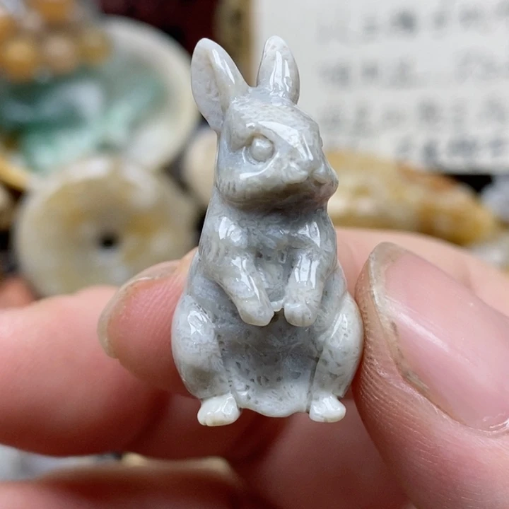 硅化珊瑚（珊瑚玉）未镶嵌颈饰小