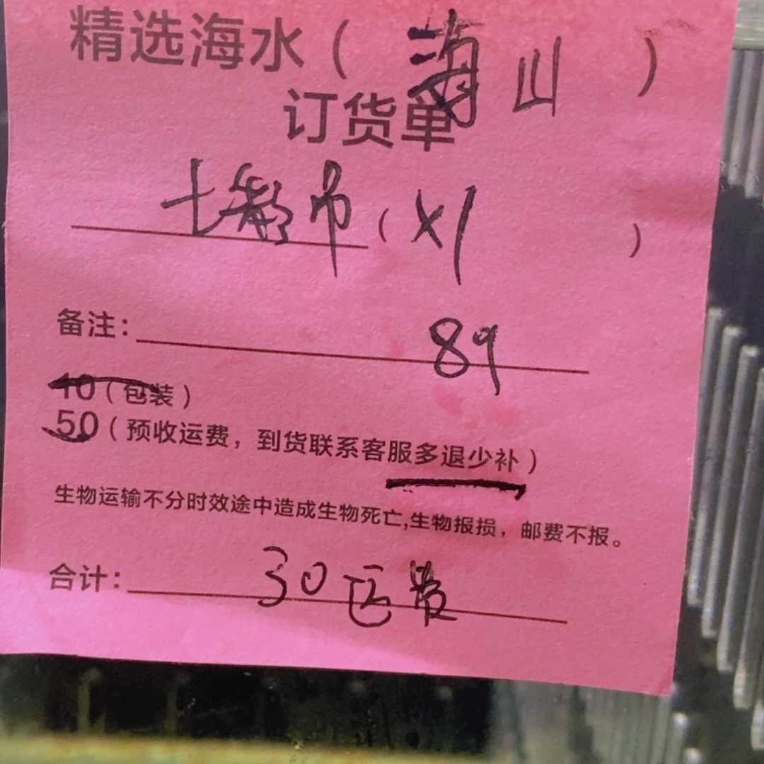 海水鱼七彩吊➕运费30元，多退少补