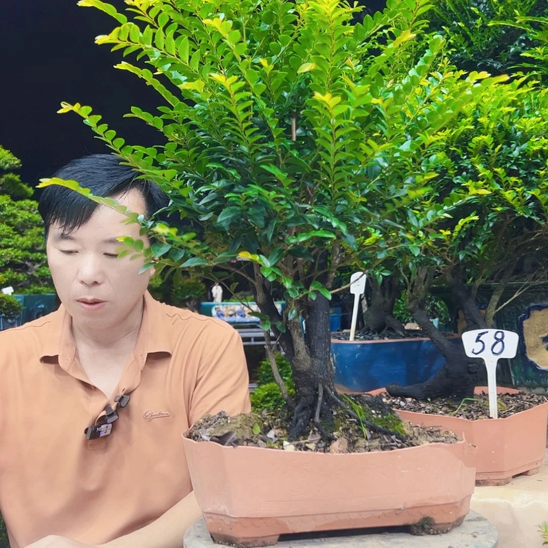 无花朵江****授12345678