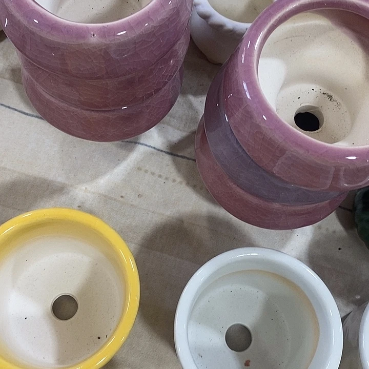 花盆抢购清货马上开始