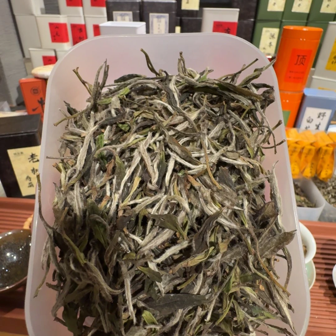 竹林下竹林下白茶