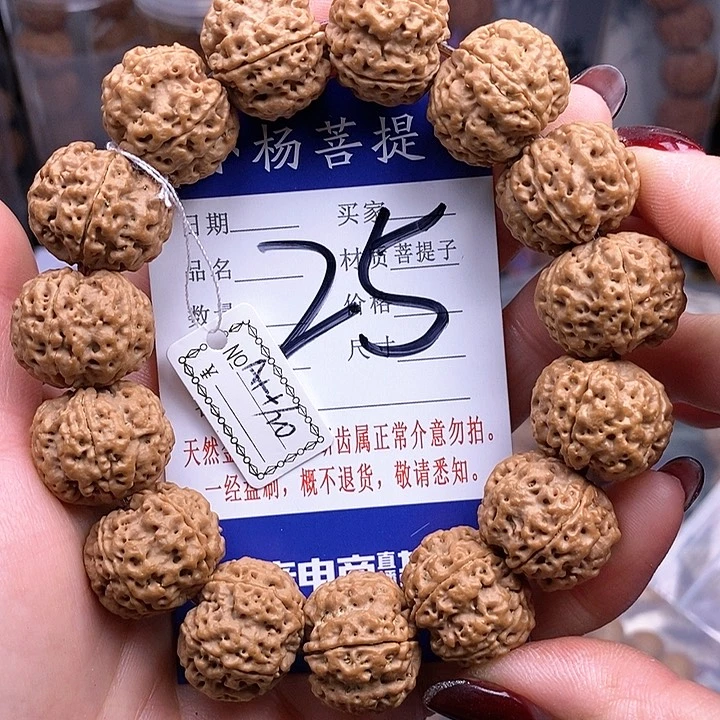 金刚菩提手串20铁骨双龙