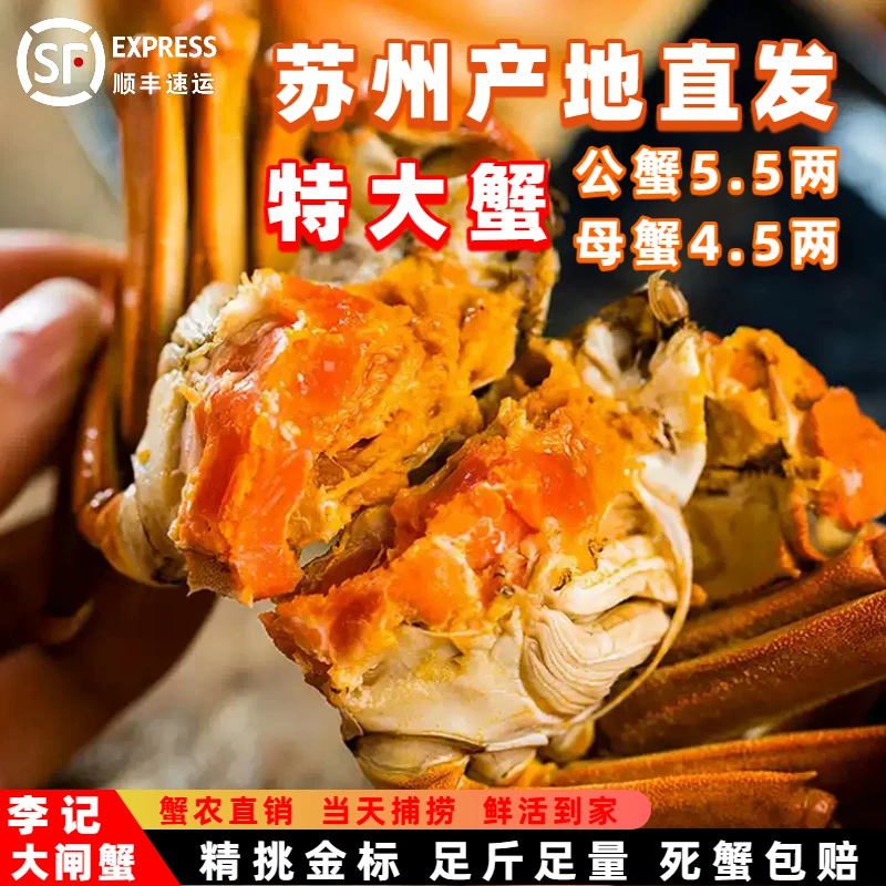 【金标活蟹】苏州大闸蟹特大蟹公蟹5.6-5.3两 母蟹4.6-4.3两 6/8/10只