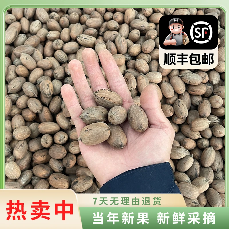 新鲜采摘薄壳原味生碧根果零食