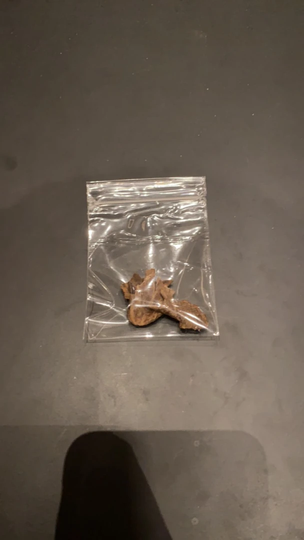 海南+香港沉水香共1g（随机发货）