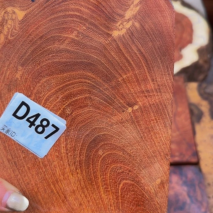 木喜**石小叶羊蹄甲红色纹理