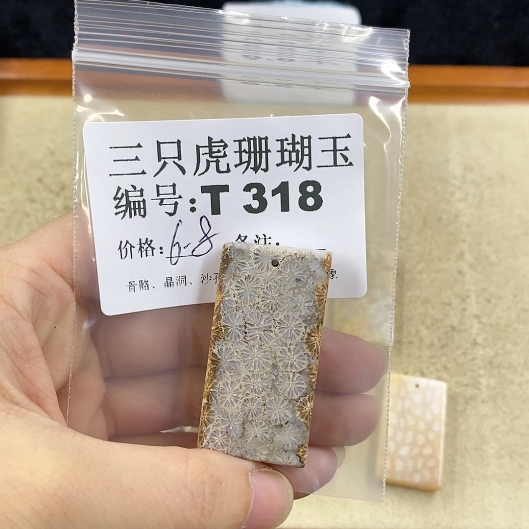硅化珊瑚（珊瑚玉）1未镶嵌眼****海
