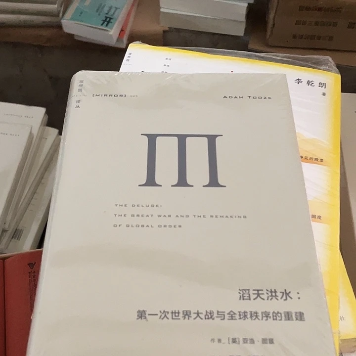 滔天洪水：微瑕图书
