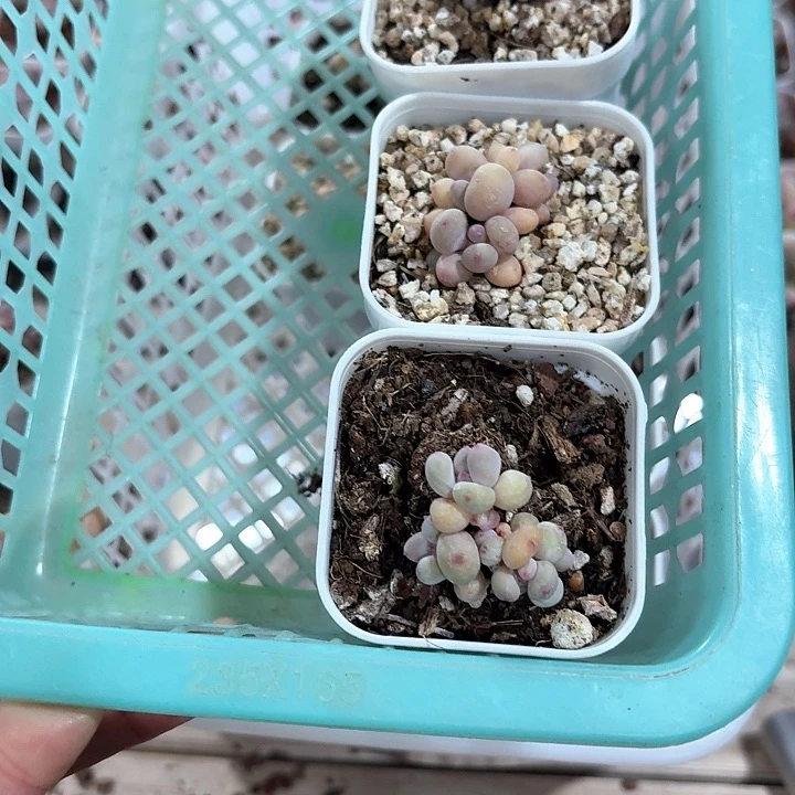 睡**丷c nc cv n b 093