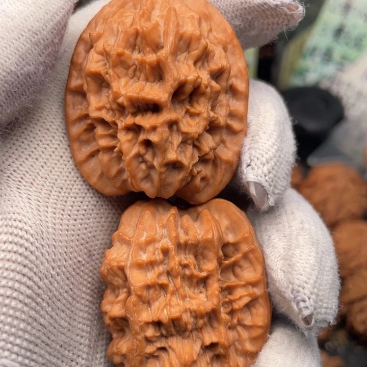 水***在核桃37尺秦岭野长鸡心