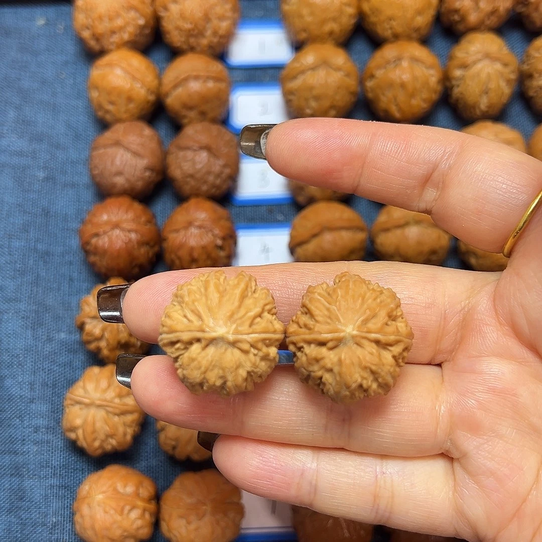 文玩核桃吊坠粗筋蝴蝶磨25尺全品无修