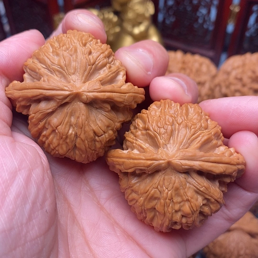 把件文玩核桃毕业白狮子45尺绝配